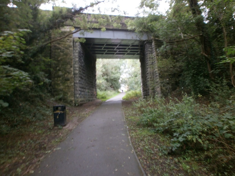 images/SEPTEMBER2026/dd1.jpg dd1