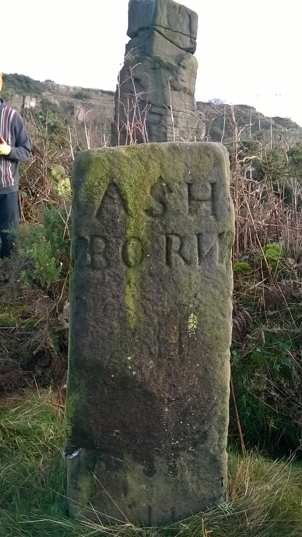 marker alport7