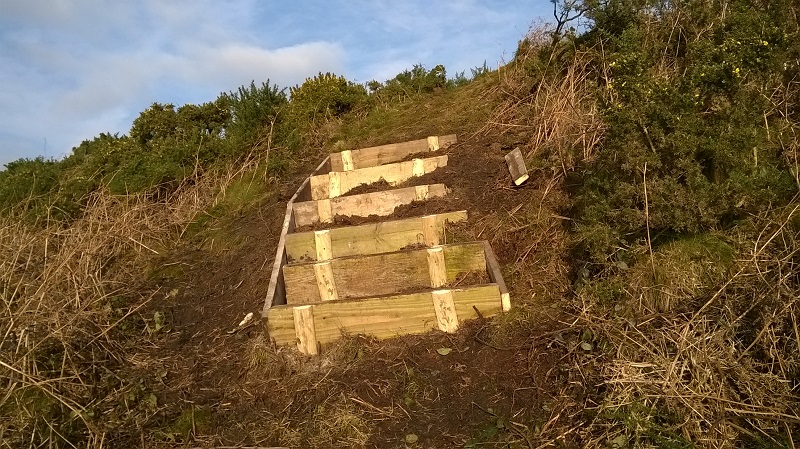 steps alport8